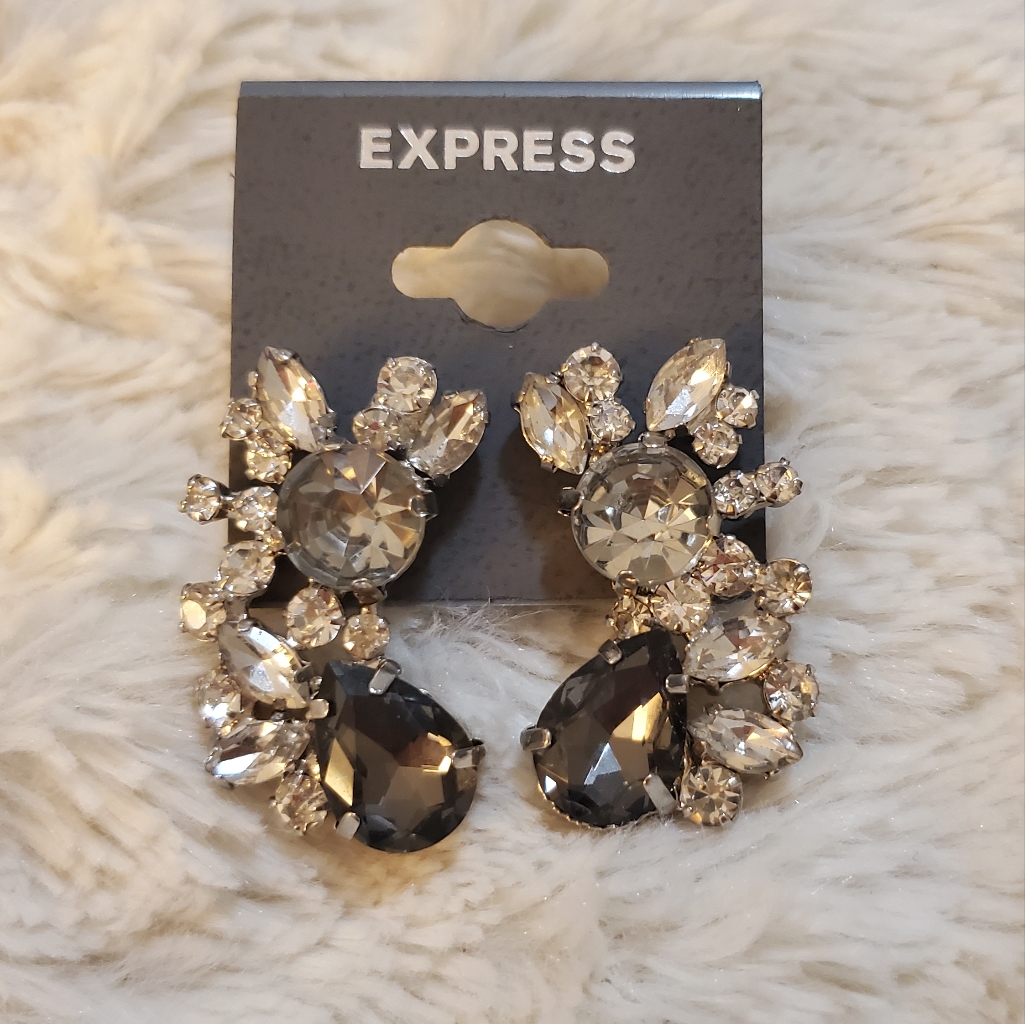 Express Silver Statement Earrings